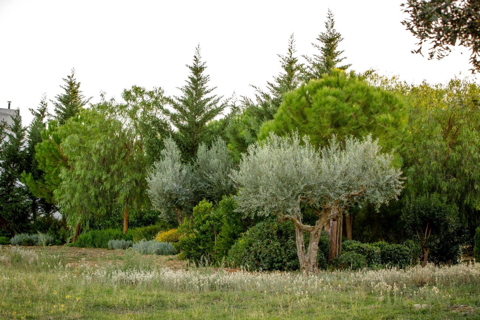 הוילה אסטראמוז Monte Da Hortinha מראה חיצוני תמונה